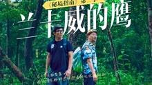 激光雷达在测绘中的应用！你知道吗？