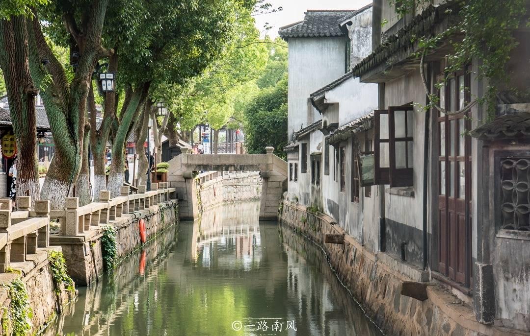 巫师2：刺客之王